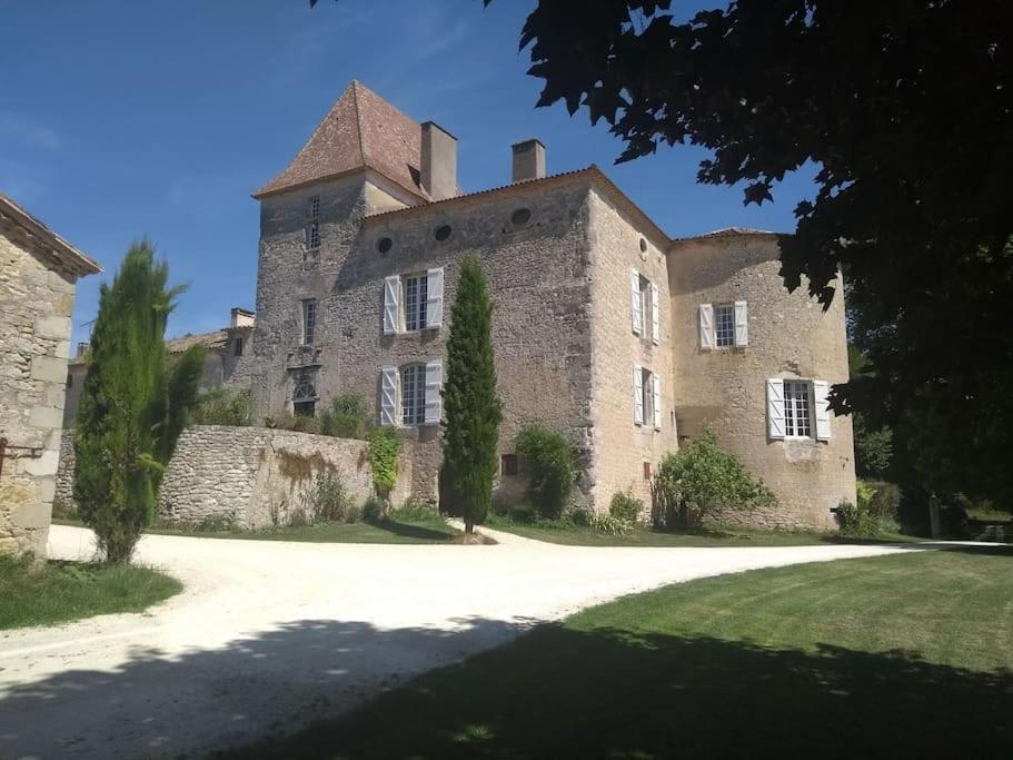 Chateau Barayre - Beautiful 12Th Century Castle With Pool And Large Garden Laussou Exteriér fotografie
