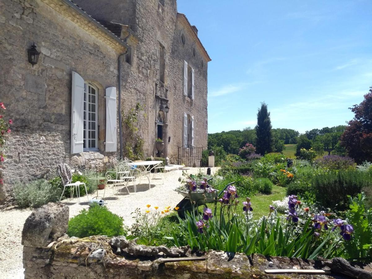 Chateau Barayre - Beautiful 12Th Century Castle With Pool And Large Garden Laussou Exteriér fotografie